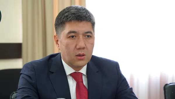 Председатель Национального банка КР Мелис Тургунбаев и министр финансов Кыргызстана Алмаз Бакетаев подали в отставку.